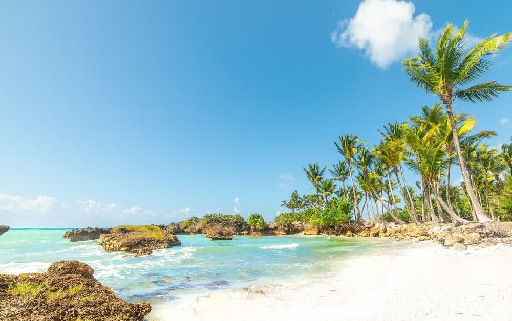 shutterstock 2522264703 petite anse 2