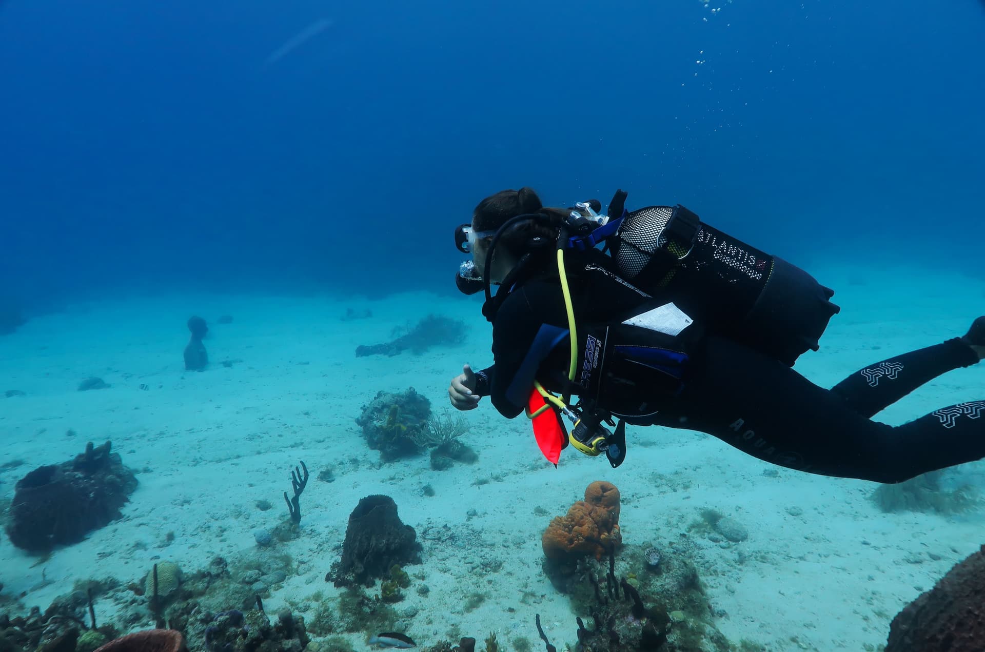 Cousteau Reserve, a Meeting Place