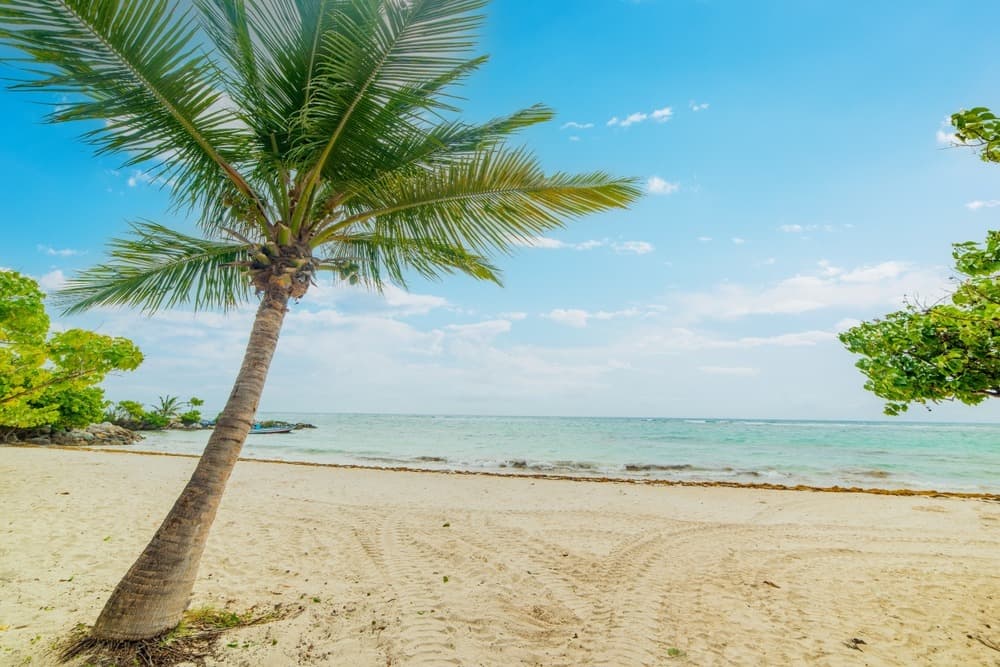 When to Visit Guadeloupe?